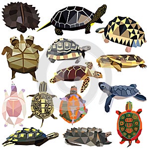 Turtle set