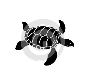 Turtle Silhouette Vector