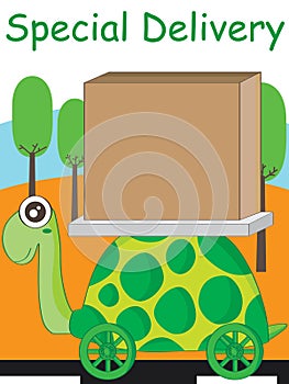 Turtle Slow Super Delivery