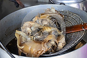 Turtle soup, also known as terrapin soup