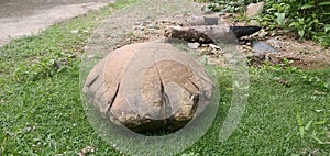 Turtle Stone From West Sumatera