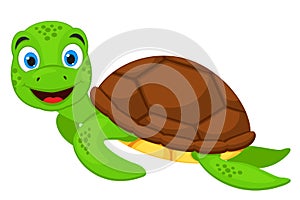 Turtle swims and smiles on a white background. Character