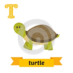 Turtle. T letter. Cute children animal alphabet in vector. Funny