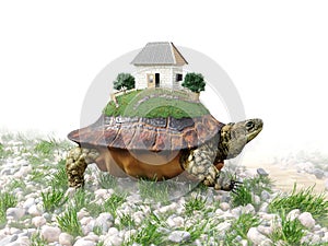 Turtle with toy house from paper real estate business concept