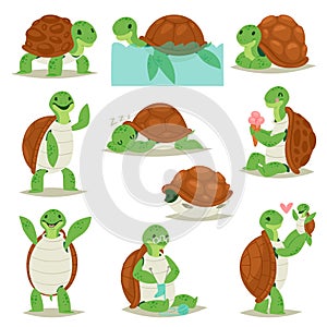 Turtle vector cartoon seaturtle character swimming in sea and sleeping tortoise in tortoise-shell illustration set of