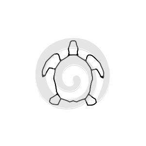 Turtle vector line icon. sea Turtle linear outline icon