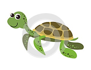 Turtle. Wild animals. Underwater world. Aquarium or tropical marine. Isolated on white background. Illustration in