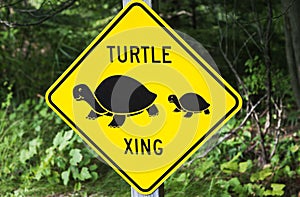 Turtle xing