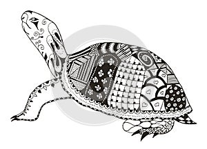 Turtle zentangle stylized. vector, illustration, freehand pencil