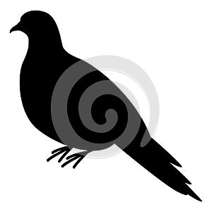 Turtledove, vector illustration, black silhouette ,profile