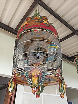 turtledoves in a cage