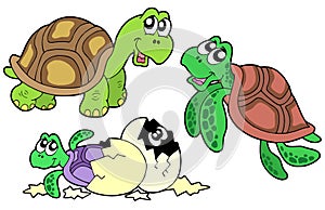 Turtles collection