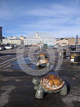 Turtles of Helsinki