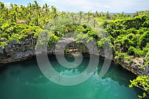 Tortugas el agujero en norte de isla fidelidad islas nuevo 