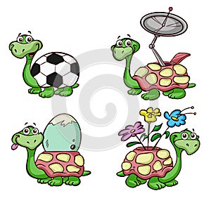 Turtles illustrations