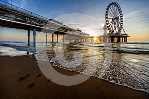 Turtles and Scheveningen sunset silhouette photo