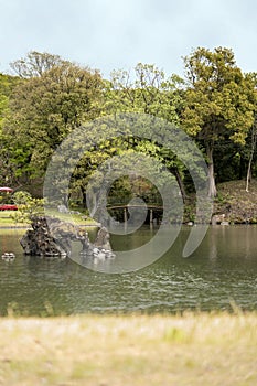 Turtles on the stone islet Houraijima and the wooden japanese br