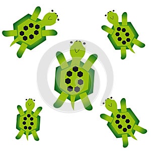 Turtles on white background