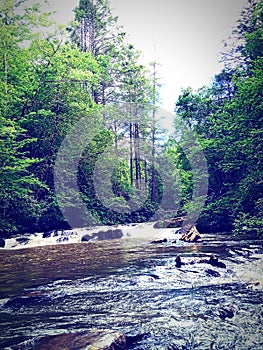 Turtletown falls in tn