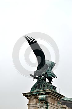 turul bird statue in Royal Castle in Budapest