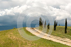 Tuscan clouds and cypress trees