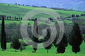 Tuscan countryside