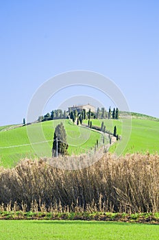 Tuscan countryside with farm and rows of trees