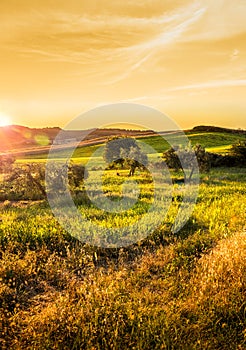 Tuscan countryside landscape