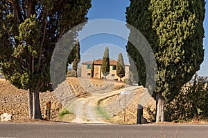 Tuscan countryside near Pienza, Tuscany, Italy