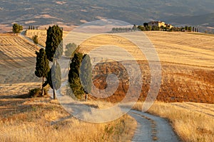 Tuscan countryside at sunset, Italy