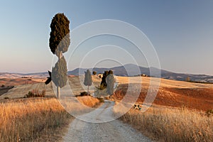 Tuscan countryside at sunset, Italy