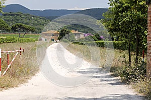 Tuscan farm