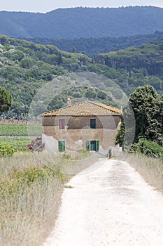 Tuscan farm