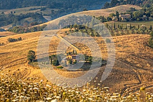 Tuscan Farm Scenery