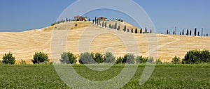 Tuscan Farm in Siena photo