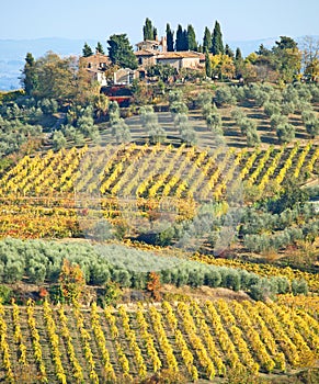 Tuscan Farmhouse & Landscape  near San Gimignano  Tuscany Italy