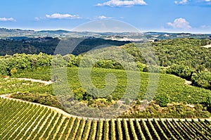 Tuscan fields, vineyards and woods