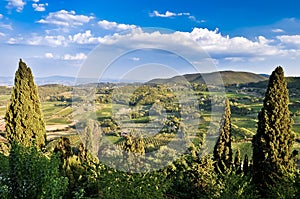 Tuscan fields, vineyards and woods