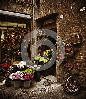 Tuscan Flower Shop, Italy photo