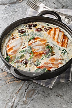 Tuscan grilled salmon in creamy sauce with spinach, sun dried tomatoes and parmesan closeup in the pan. Vertical