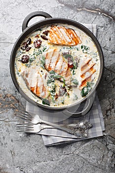 Tuscan grilled salmon in creamy sauce with spinach, sun dried tomatoes and parmesan closeup in the pan. Vertical top view