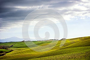 Tuscan hill with row of cypress trees and farmhouse ruin at sunset. Tuscan landscape. Italy