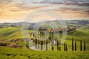 Tuscan hill with row of cypress trees and farmhouses at sunset. Tuscan landscape. Italy photo