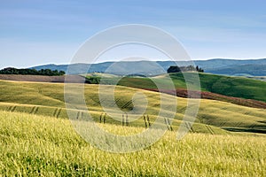 Tuscan hills countryside landscape