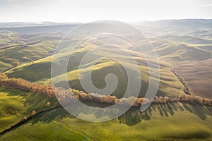 Tuscan hills. Cypresses. Minimalist landscape with green fields in Tuscany. Val D`orcia in the province of Siena, Italy.