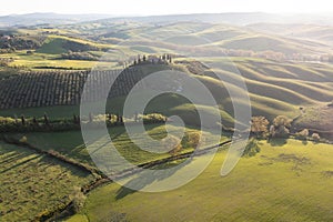 Tuscan hills. Cypresses. Minimalist landscape with green fields in Tuscany. Val D`orcia in the province of Siena, Italy.