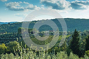 Tuscan hillside vineyard early autumn with houses