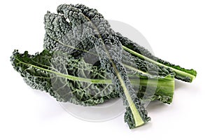 Black kale, italian kale photo