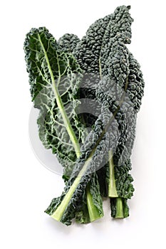 Black kale, italian kale