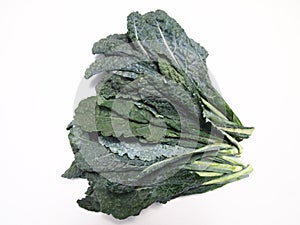 Tuscan Kale photo